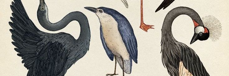 AliMassera's profile banner image