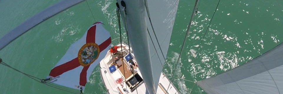 Benson Willis banner