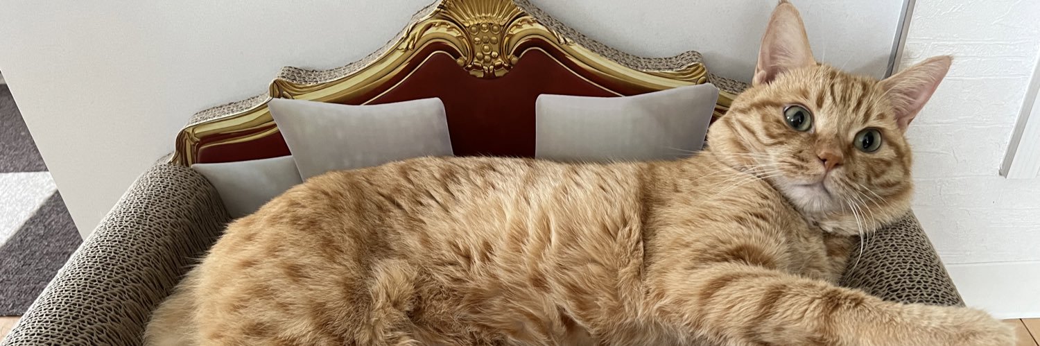 あらたみく banner