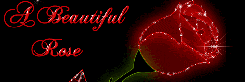 MuthamaMathias's profile banner image