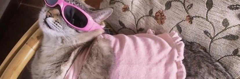 martaaa_megi's profile banner image