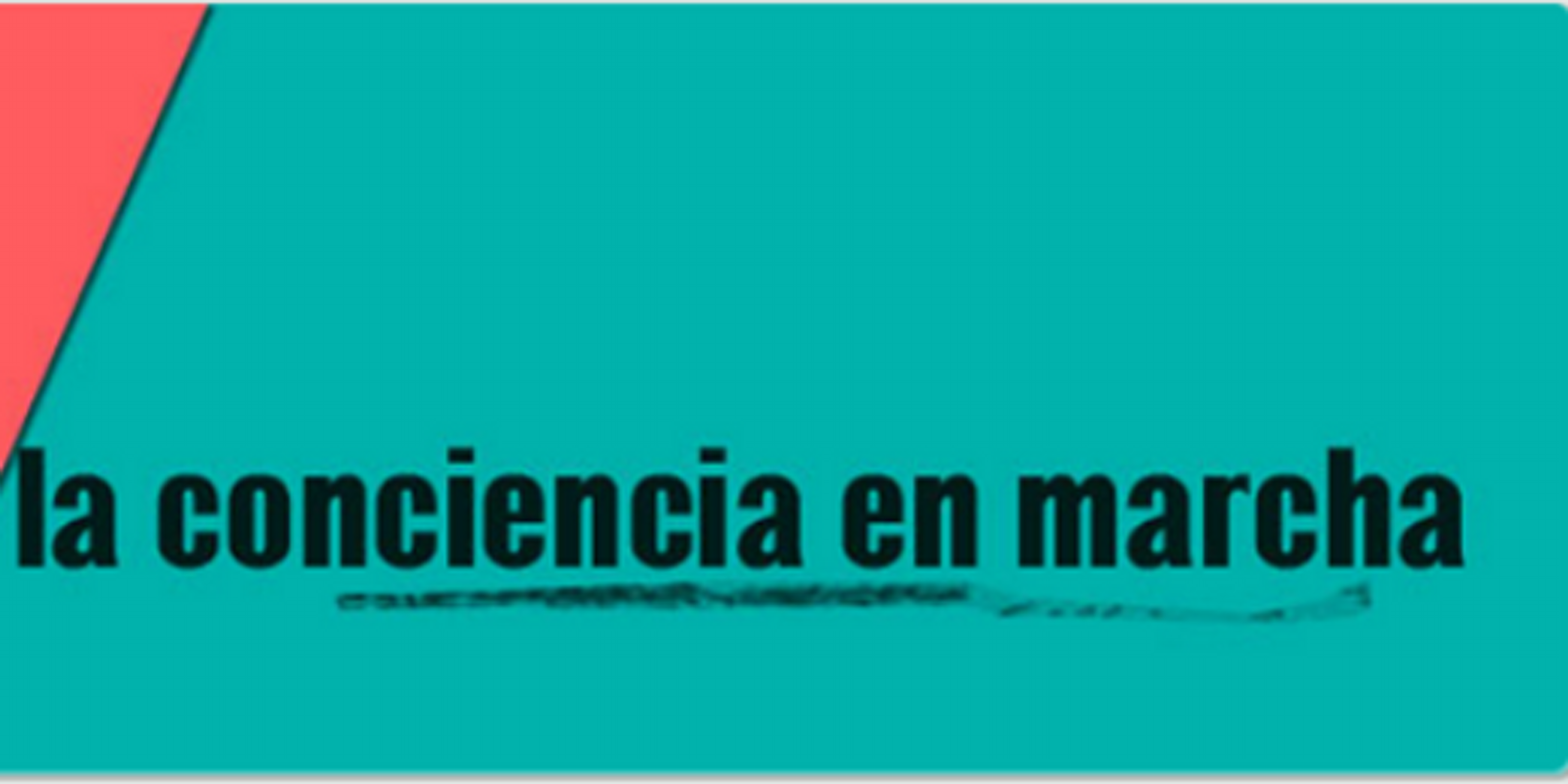 plataformsocial's profile banner image