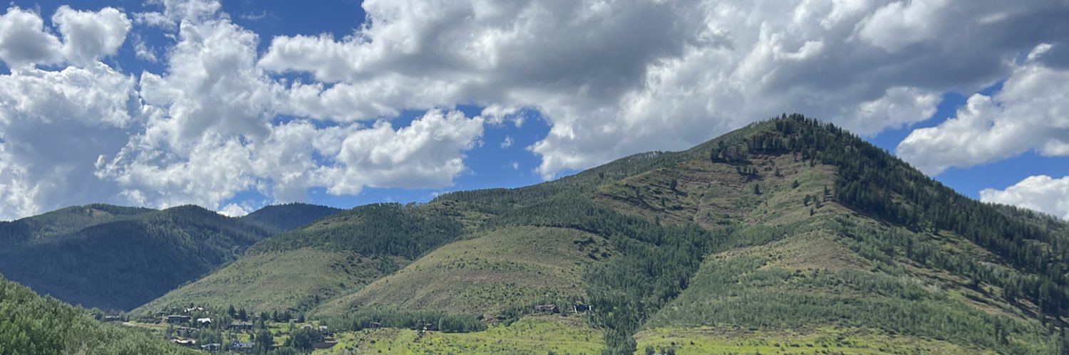 troymeeker's profile banner image