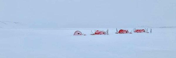 piperdoc1 Profile Banner