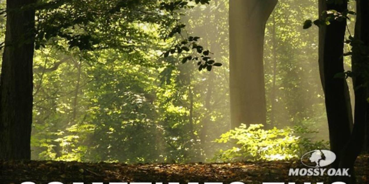 KBC224's profile banner image