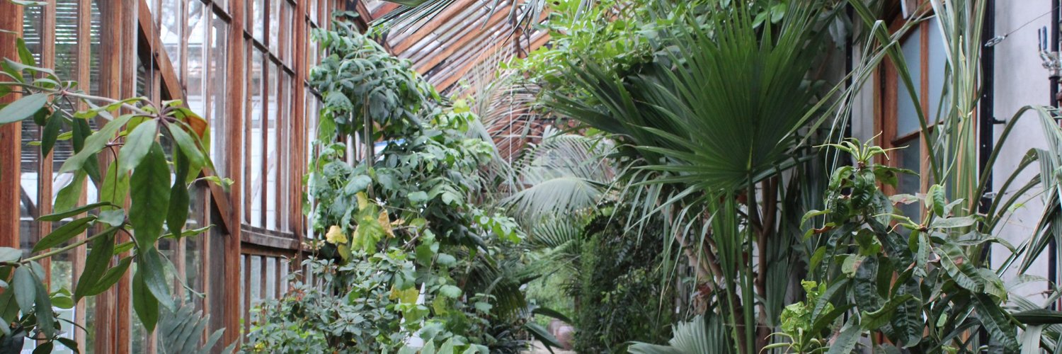 Radiant_Avocado's profile banner image