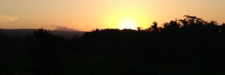 DesyArrr's profile banner image