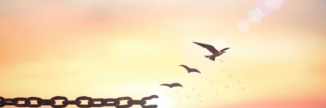 Pingel51's profile banner image