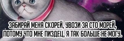 Iam_Melmori's profile banner image