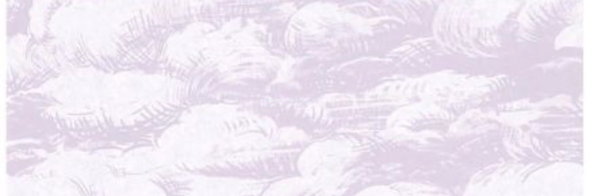morgan banner