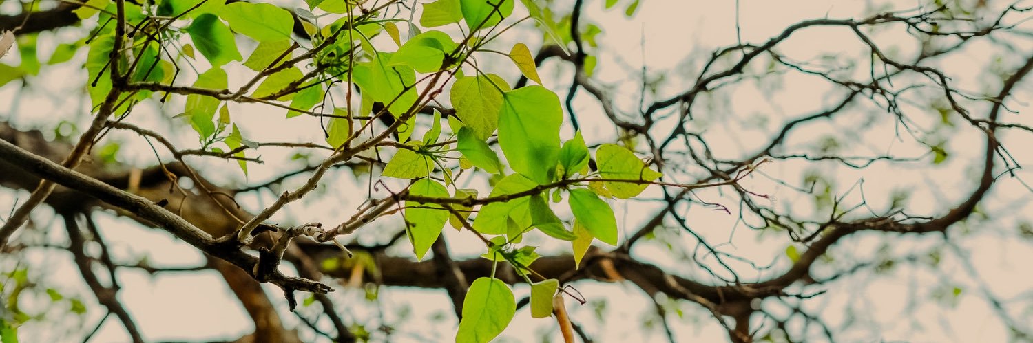 alllwn's profile banner image