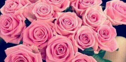 OfficialHajar_'s profile banner image
