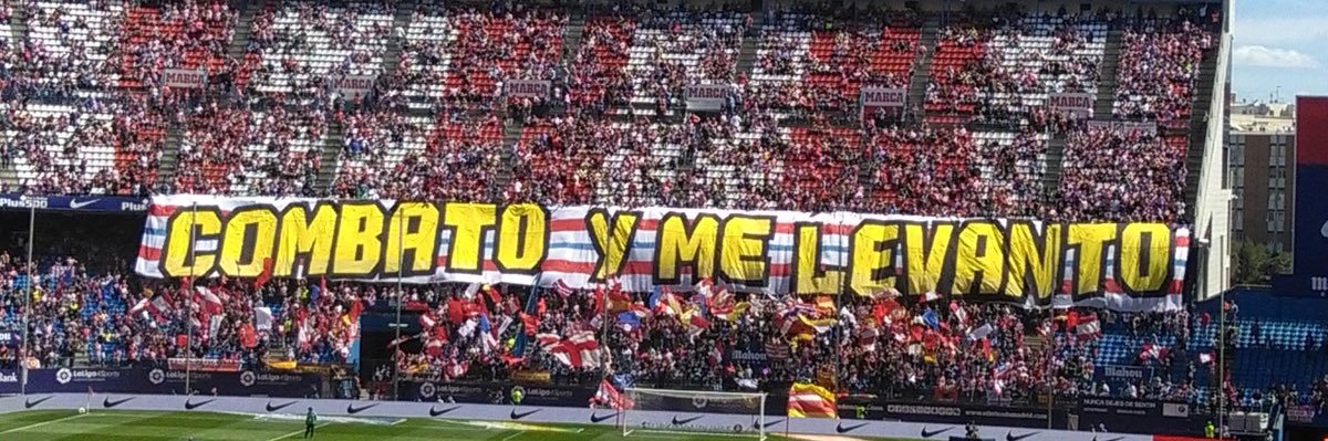 Mike banner