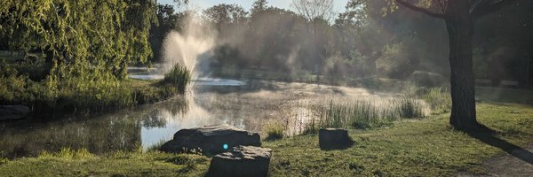 GroeningSge Profile Banner