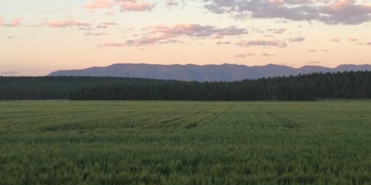 Doran Schrantz banner