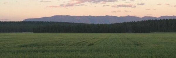 DSchrantz Profile Banner