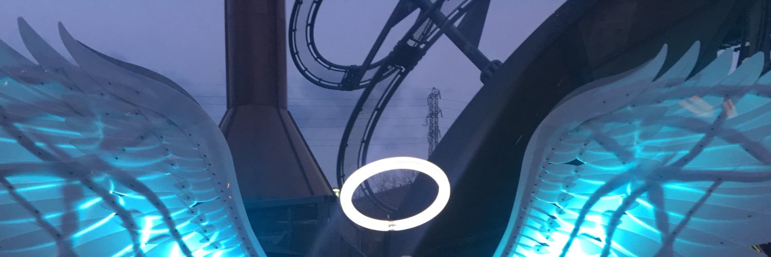 msjoanpicard's profile banner image