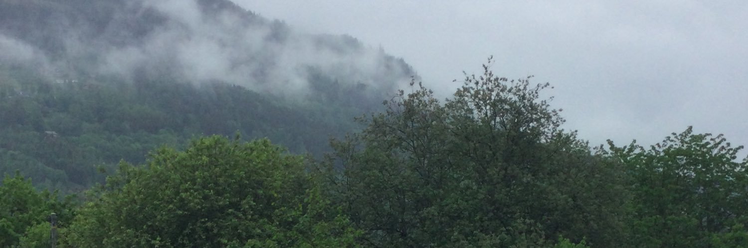 Lars K. Giæver banner