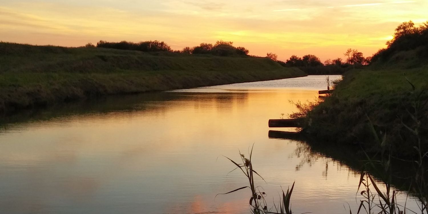 A96_Nunez's profile banner image