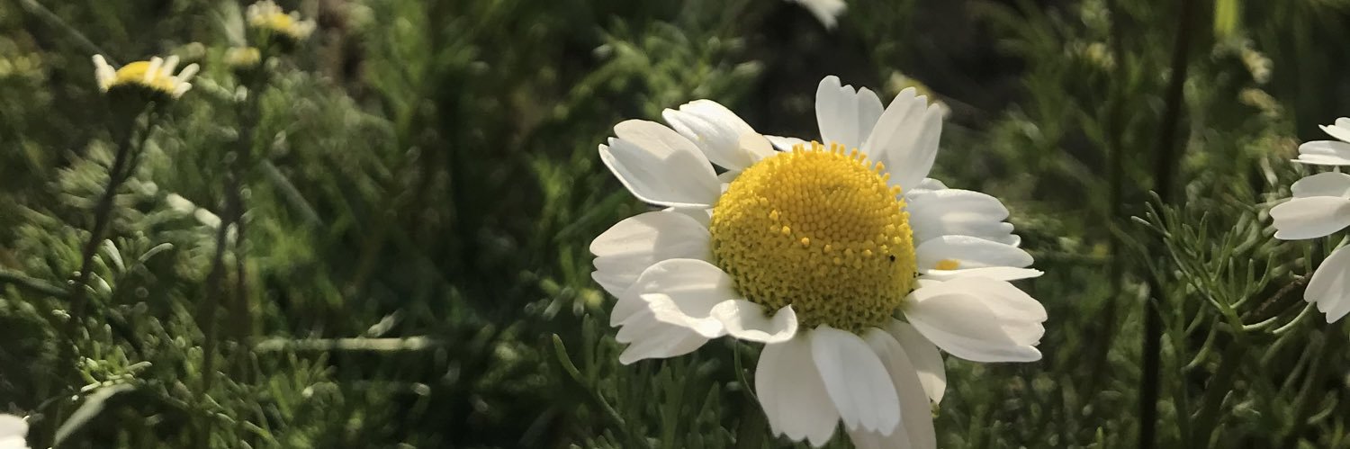 htcblca's profile banner image