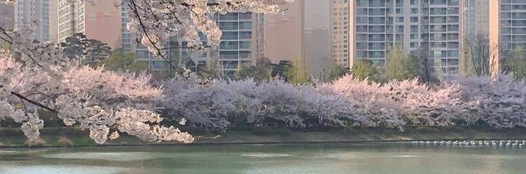 spearbjm's profile banner image