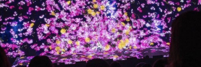 amnos_n_617's profile banner image