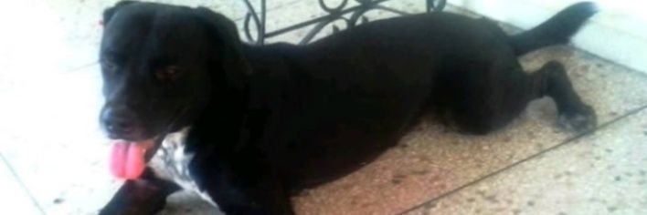 José.A.L. 🇻🇪🇻🇪🤝 banner