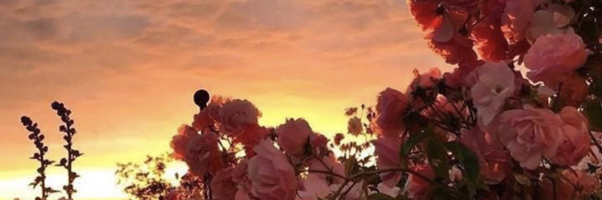 lahfa_'s profile banner image