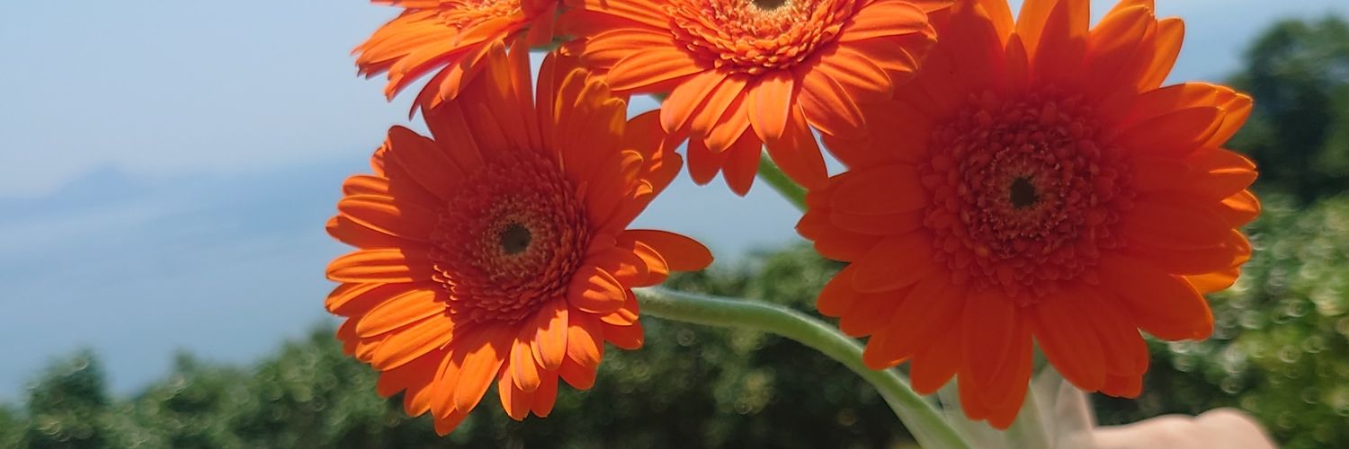 ayn0512's profile banner image