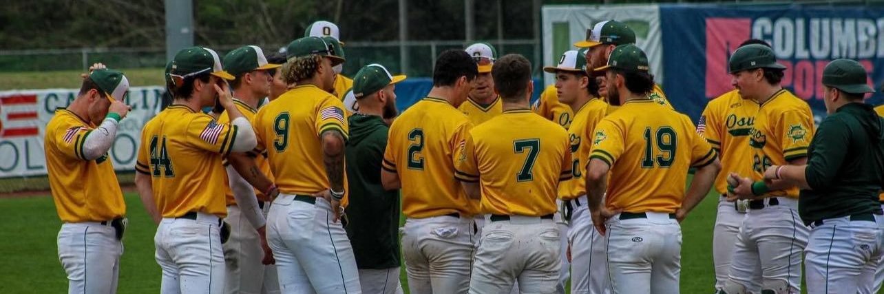 Oswego Baseball banner