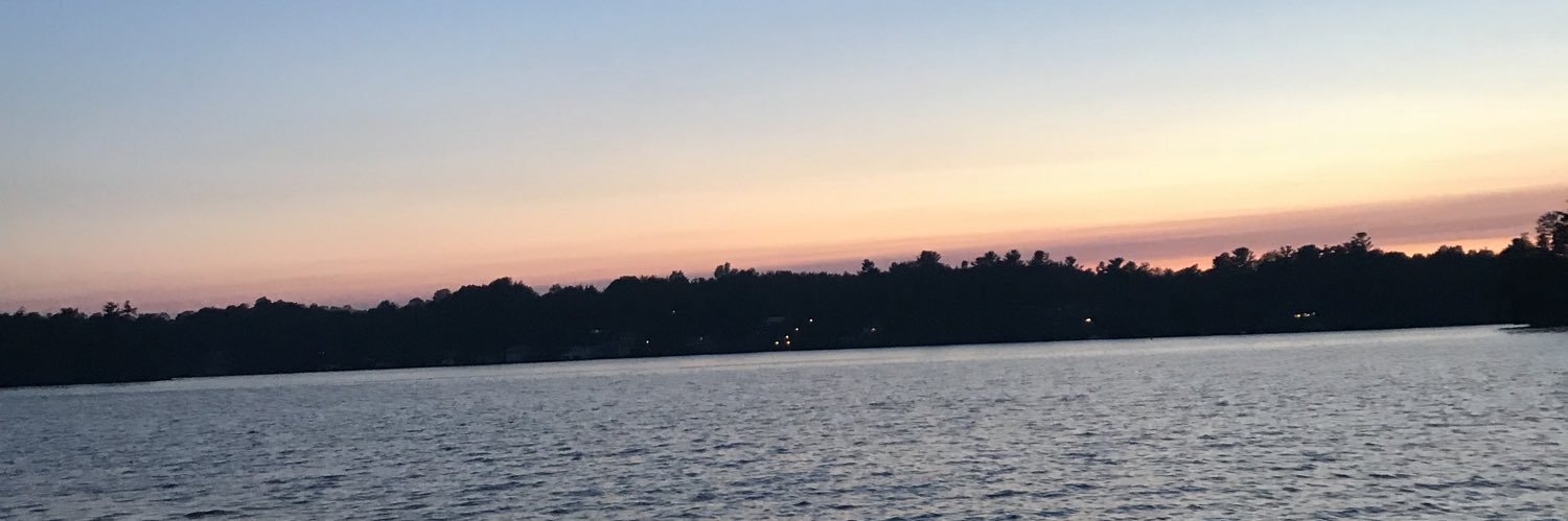 brittrobins0n's profile banner image
