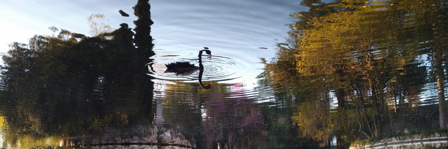 Pablo Villalobos 🔸 banner