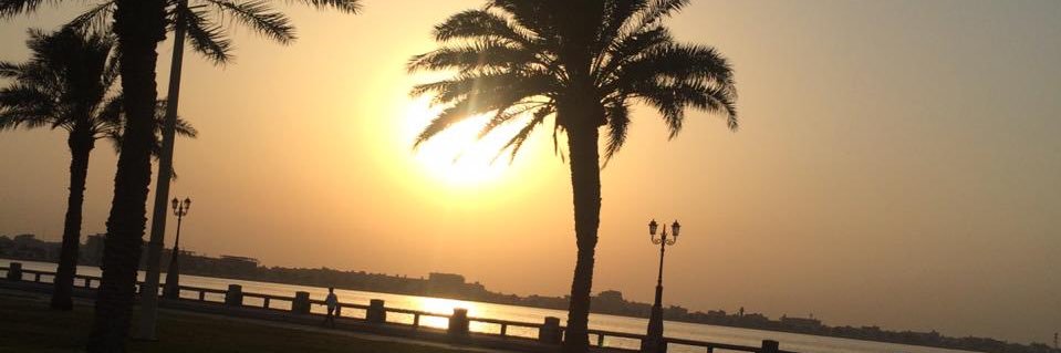 almughtarb_f's profile banner image