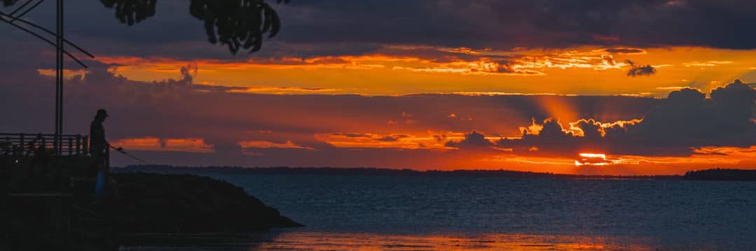 ninamullerr's profile banner image
