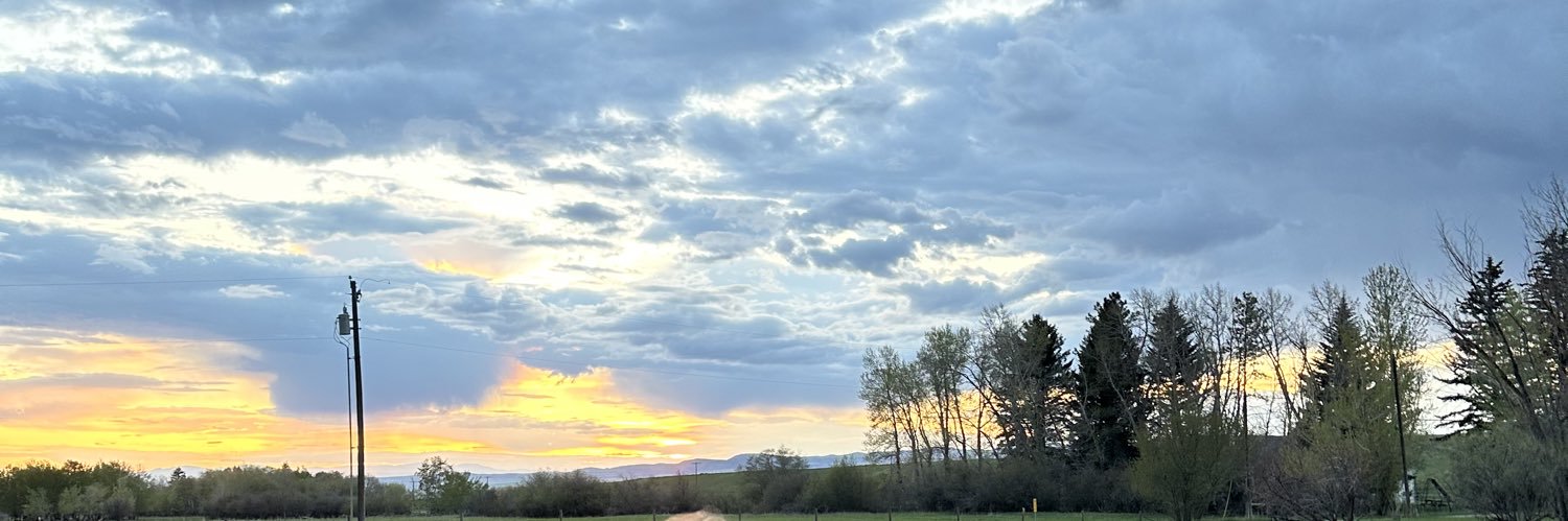 kathrynlou_'s profile banner image