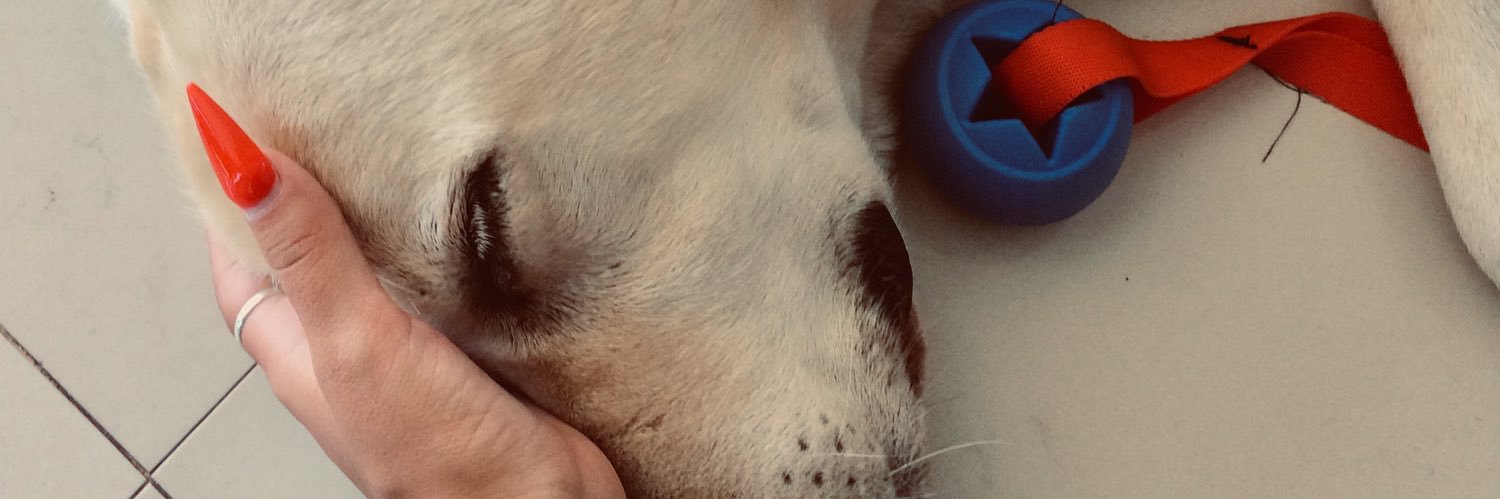 aguszabalegui's profile banner image