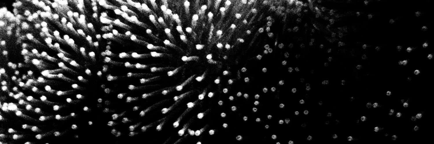 Ignacio Cantisano banner