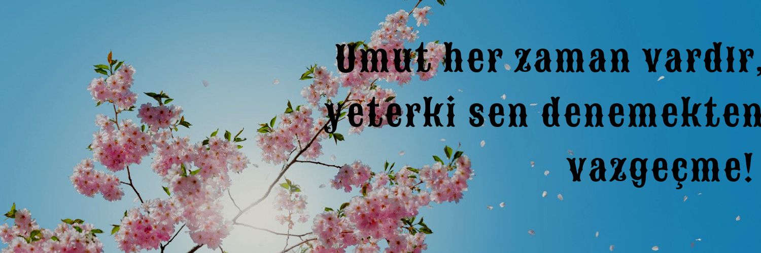muniseeee's profile banner image