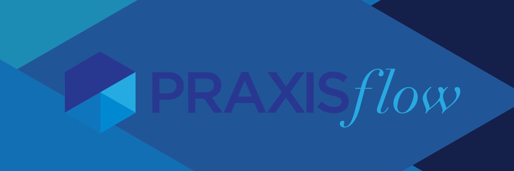 PraxisFlow banner