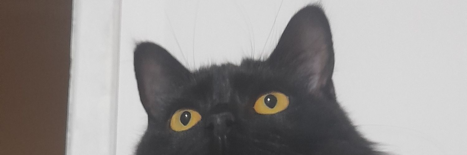 Danaserrano17's profile banner image
