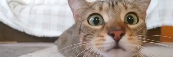 Dima_SUPER_STAR Profile Banner