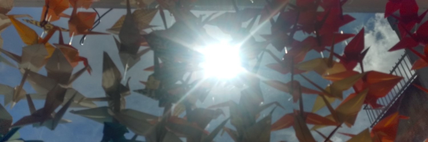 arualbs's profile banner image