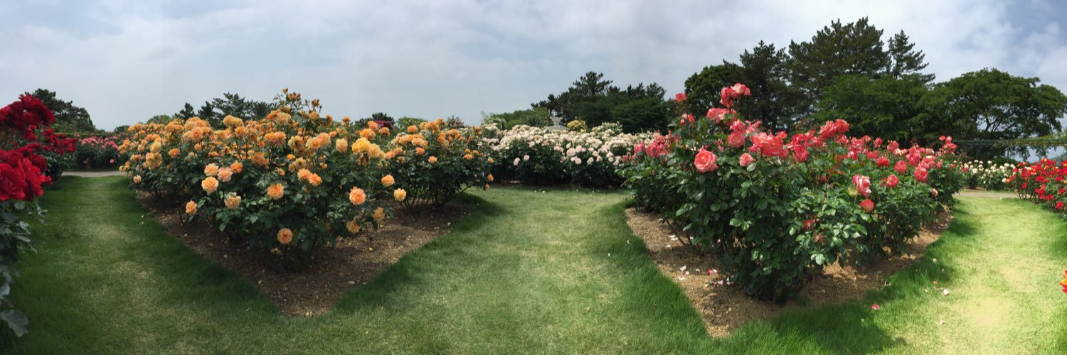 doverkad's profile banner image