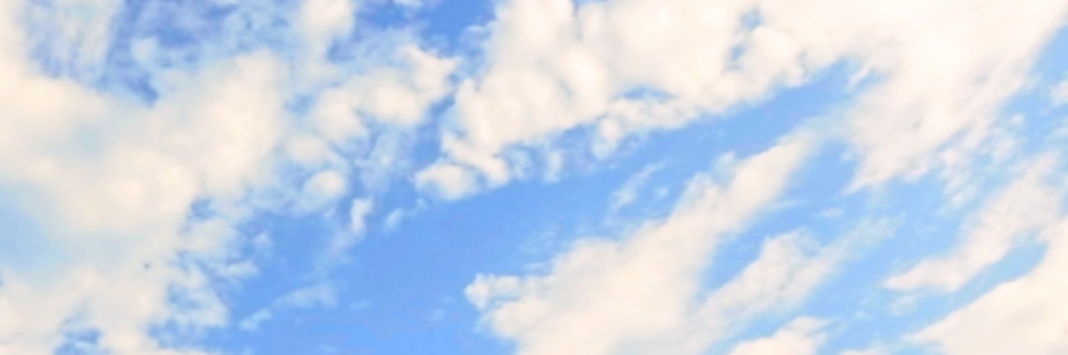 riadzaal's profile banner image