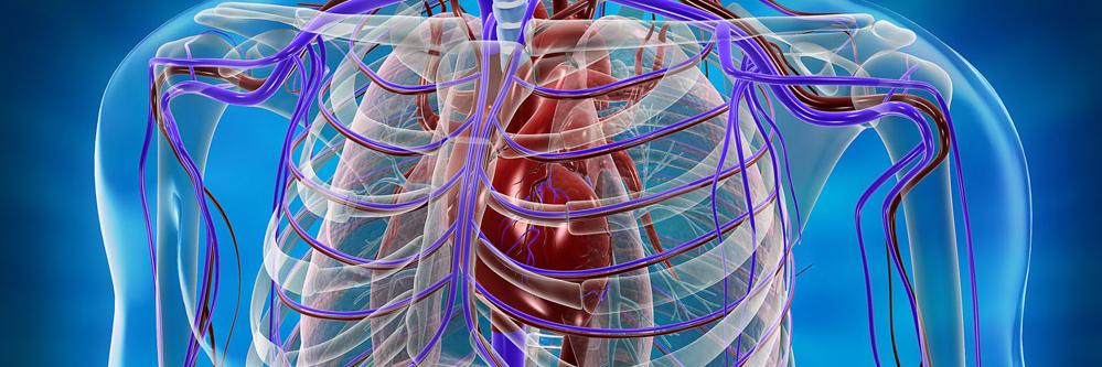 CardioCritica banner