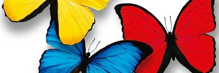 Tabelina2Moreno's profile banner image