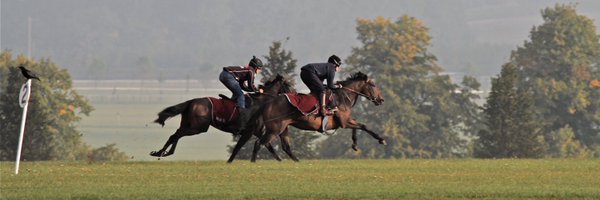 jmaxse Profile Banner