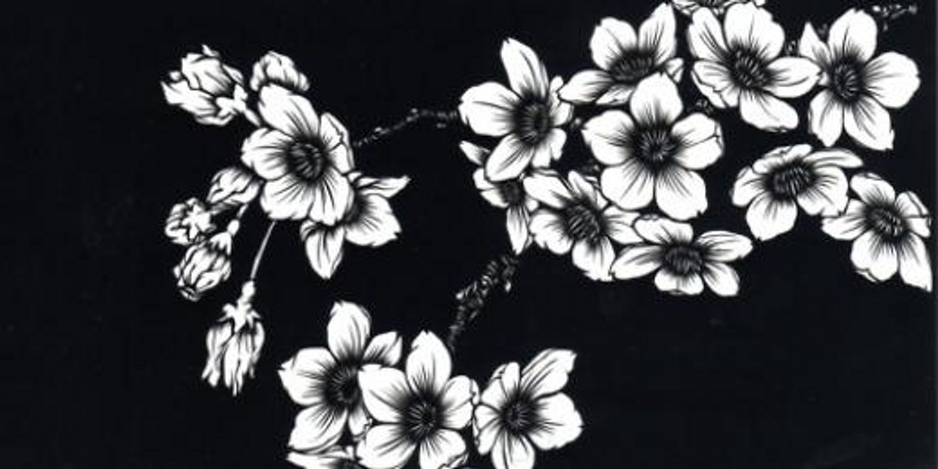 LaDeborahC's profile banner image