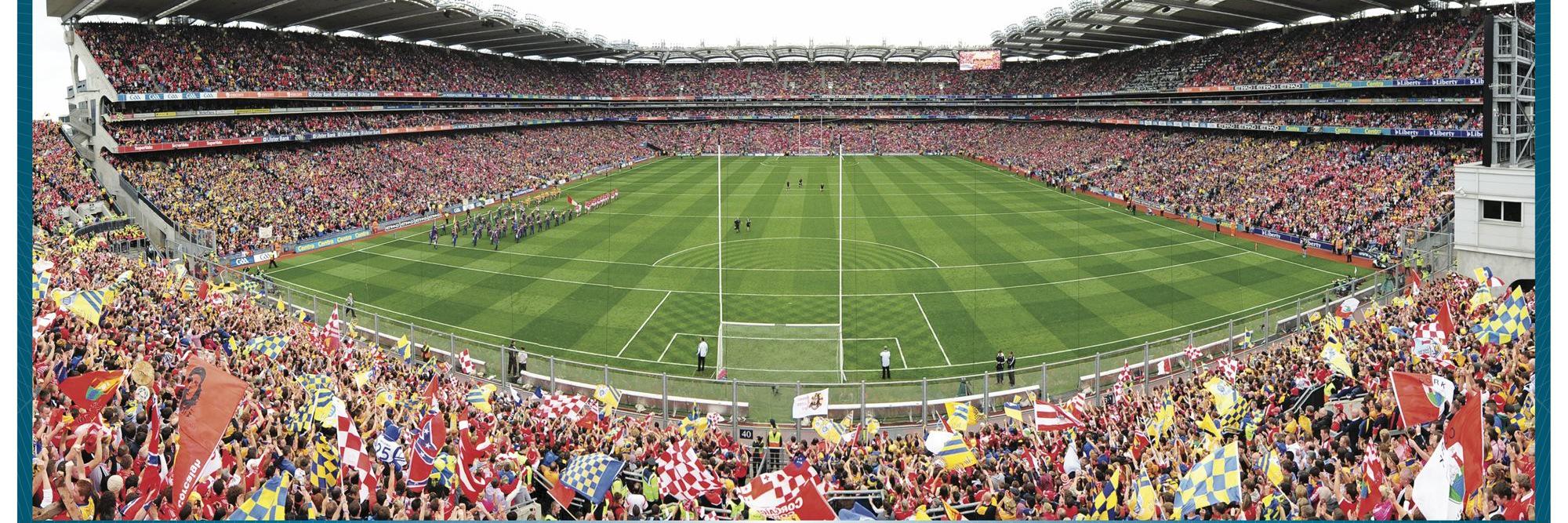 Michael Verney banner