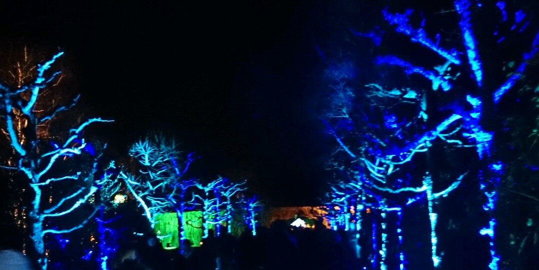 Basluetz's profile banner image